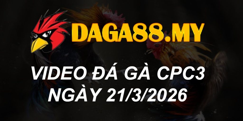 VIDEO GÀ CPC3 NGÀY 22/3/2026