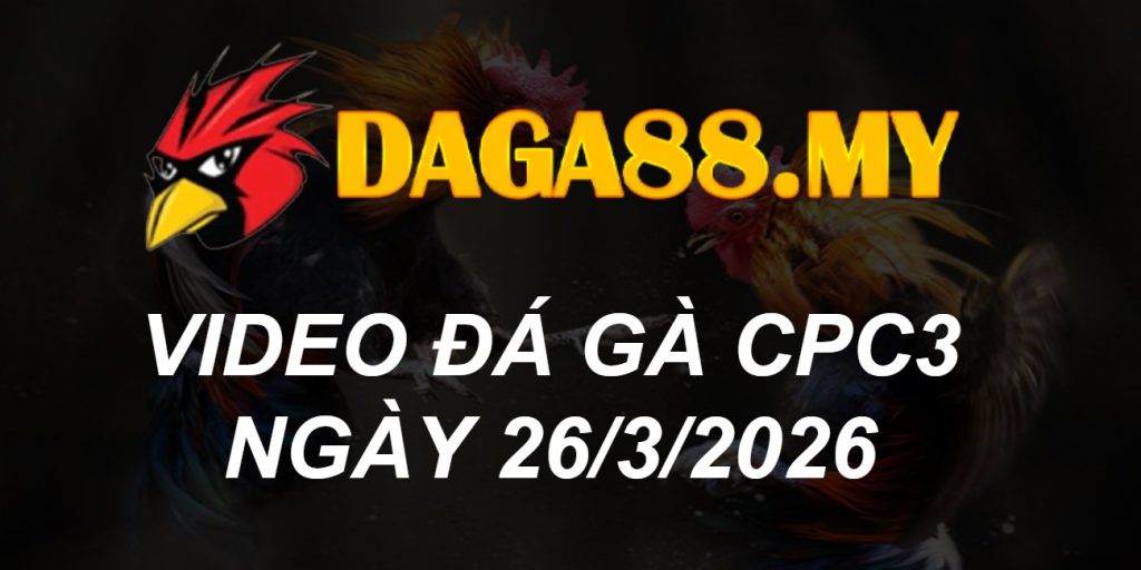 VIDEO GÀ CPC3 NGÀY 26/3/2026