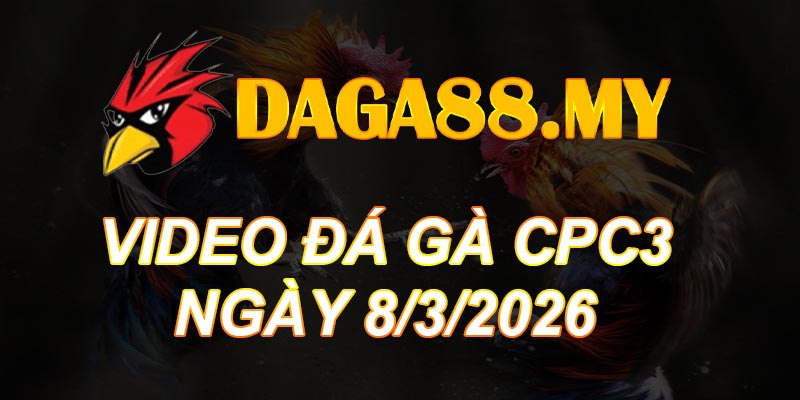 VIDEO GÀ CPC3 NGÀY 8/3/2026