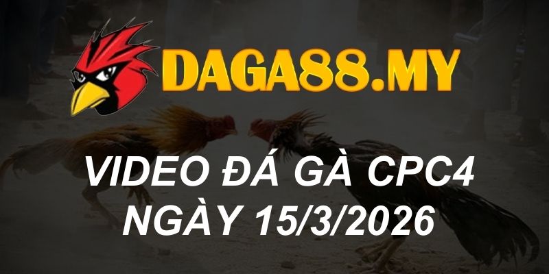 VIDEO GÀ CPC4 NGÀY 15/3/2026