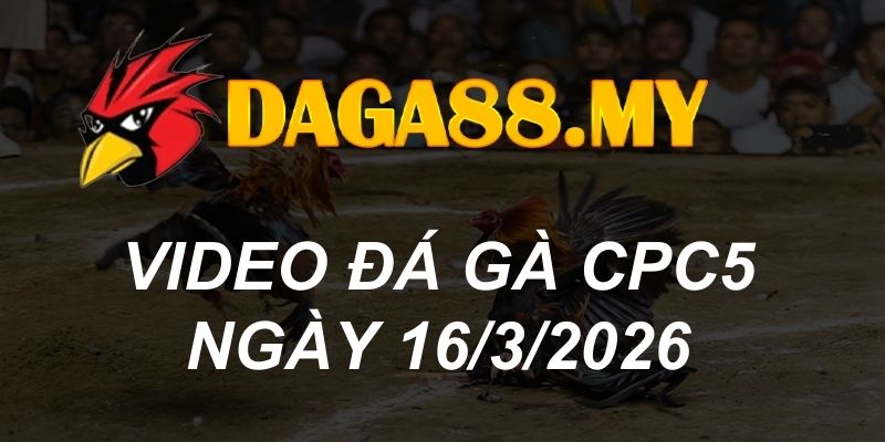 VIDEO GÀ CPC5 NGÀY 16/3/2026