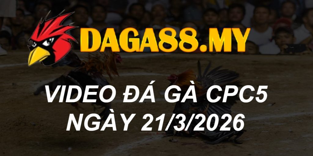 VIDEO GÀ CPC5 NGÀY 21/3/2026
