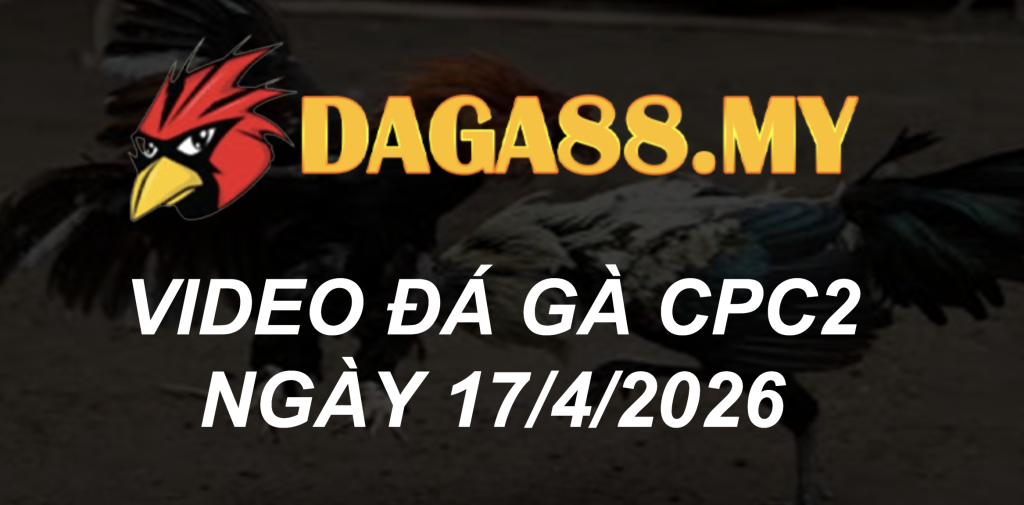 VIDEO GÀ CPC2 NGÀY 17/4/2026