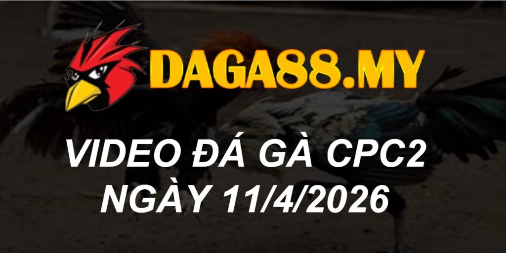 VIDEO GÀ CPC2 NGÀY 11/4/2026