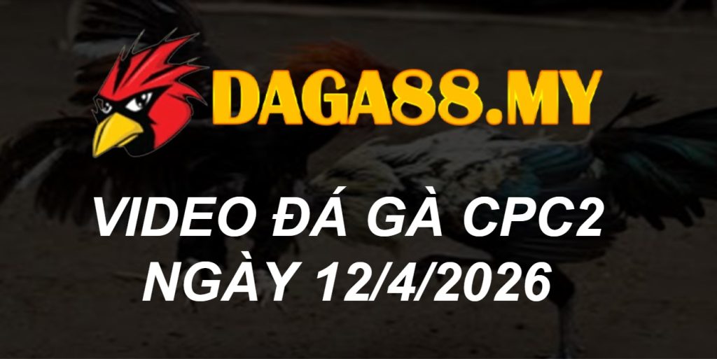 VIDEO GÀ CPC2 NGÀY 12/4/2026