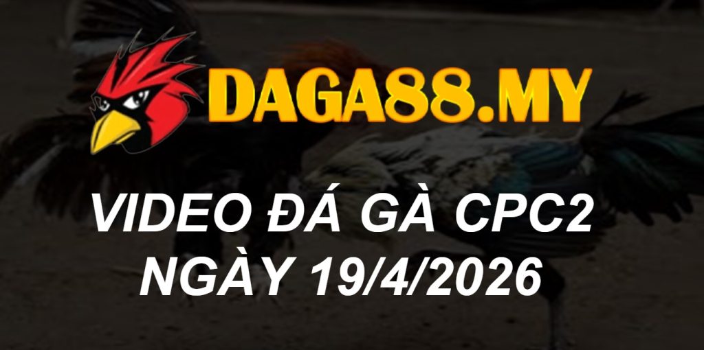 VIDEO GÀ CPC2 NGÀY 19/4/2026
