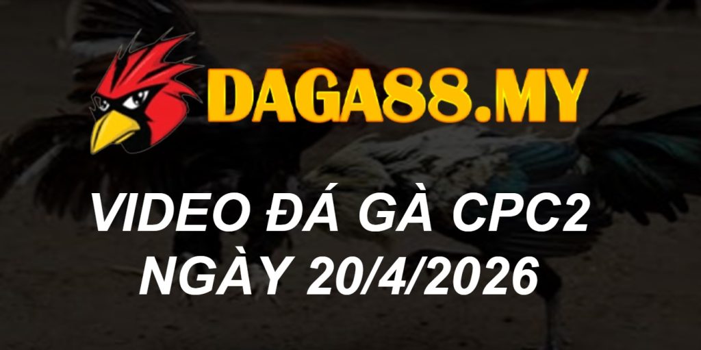 VIDEO GÀ CPC2 NGÀY 20/4/2026