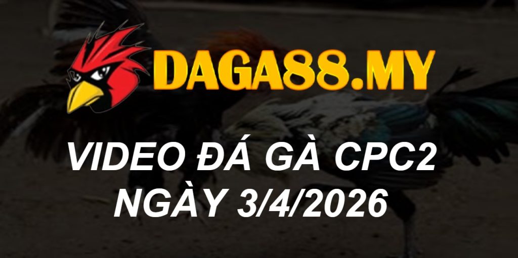 VIDEO GÀ CPC2 NGÀY 3/4/2026