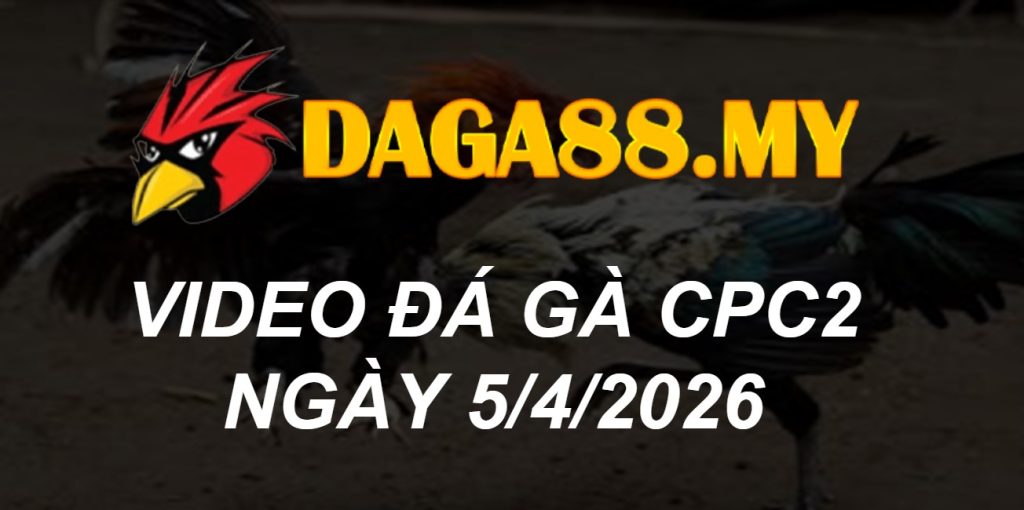 VIDEO GÀ CPC2 NGÀY 5/4/2026