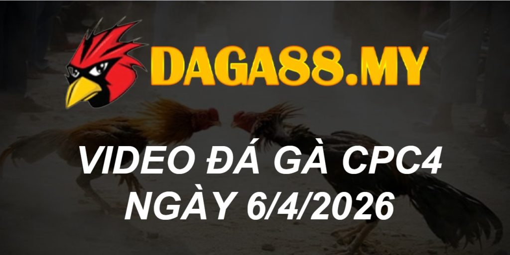 VIDEO GÀ CPC4 NGÀY 6/4/2026