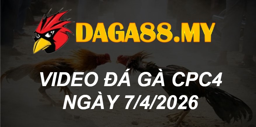 VIDEO GÀ CPC4 NGÀY 7/4/2026