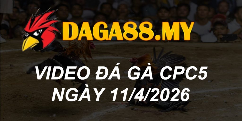 VIDEO GÀ CPC5 NGÀY 11/4/2026