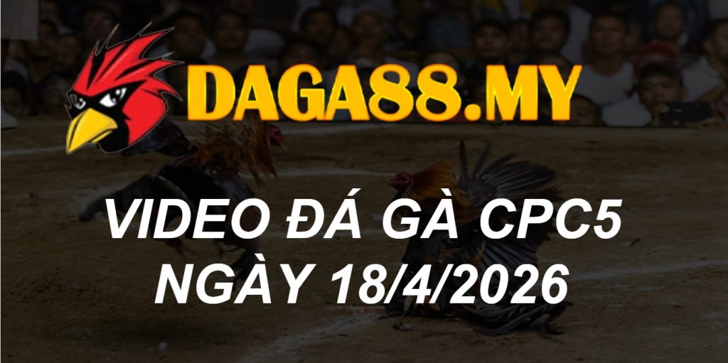VIDEO GÀ CPC5 NGÀY 18/4/2026