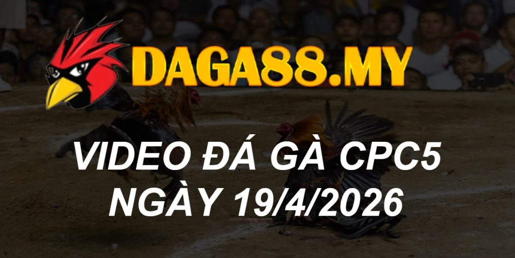 VIDEO GÀ CPC5 NGÀY 19/4/2026