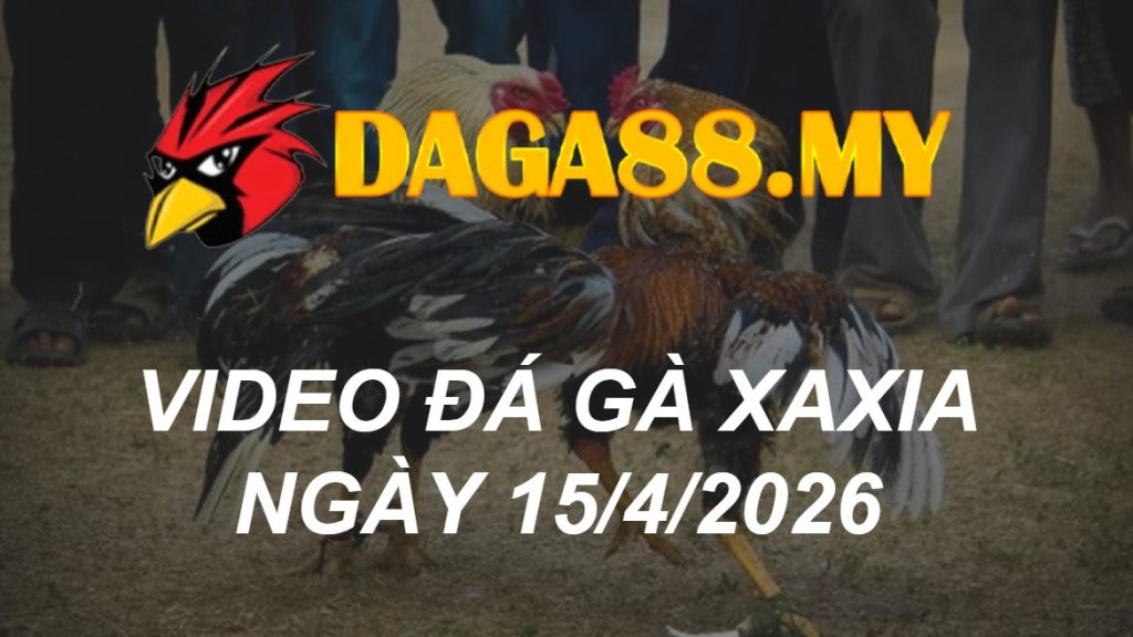 VIDEO GÀ CPC5 NGÀY 15/4/2026