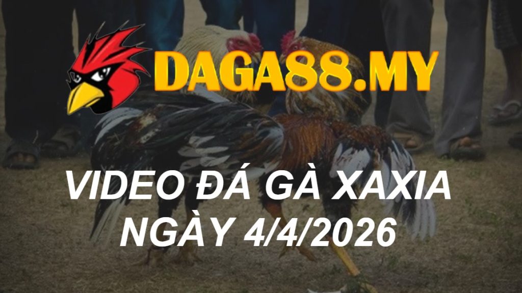VIDEO GÀ XAXIA NGÀY 4/4/2026